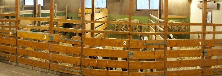 Ondertussen werd het natter en ook kouder zodat uiteindelijk de regen over ging in sneeuw en we