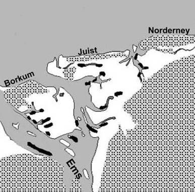 De visserij was aanvankelijk lucratief. Maar in 1952 werd in het Eemsgebied door vier garnalenvissers nog maar acht dagen op zeemos gevist. Na ca.