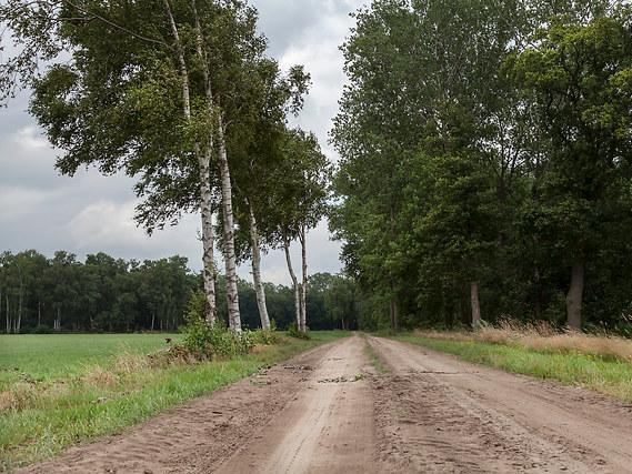 dragen van een Molukse vrijheidsstrijders. de straten zijn naar hen vernoemd als dankbetuiging.