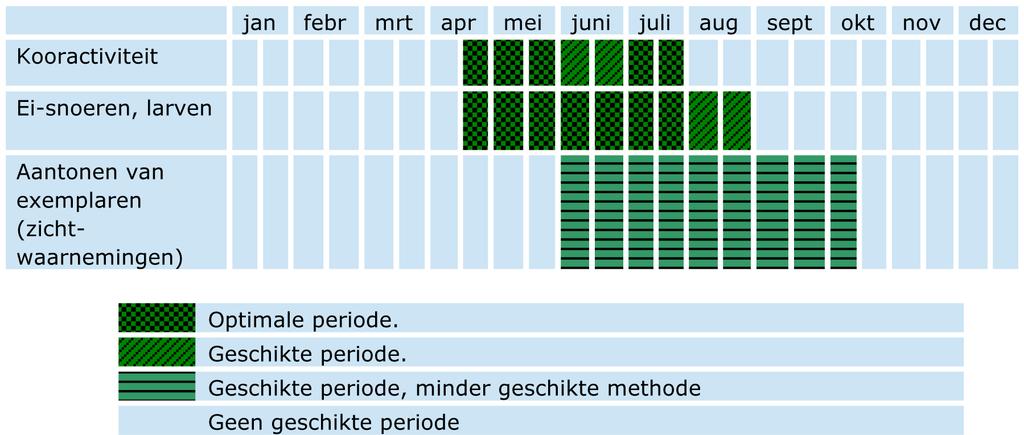 Er zijn meerdere mogelijkheden om de populatie van de rugstreeppad in beeld te brengen. Per project is dit maatwerk, dat door een rugstreeppaddeskundige uitgevoerd moet worden.