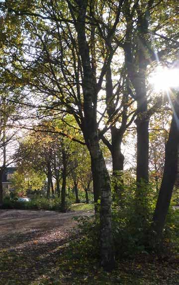 De Vuurvogel 1 ligt op een prachtige plek in Malden, in een oase van groen met een aantal gebouwen (naast Vuurvogel 1 ook de Regenboogschool en het gebouw van de tennisvereniging) en speelplekken