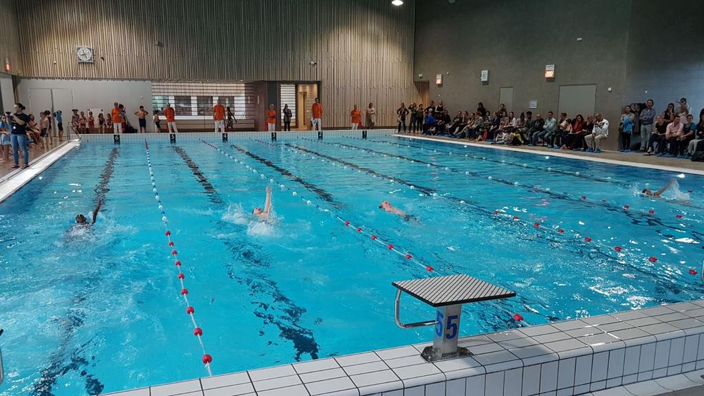Het schoolzwemkampioenschap werd vanuit De Stelberg georganiseerd door de vakleerkracht gymnastiek: