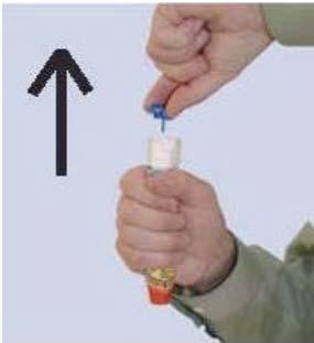1. Pak de EpiPen junior in de goede hand (de hand waarmee u schrijft) met de duim dicht bij de blauwe veiligheidsdop en