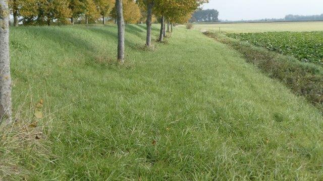 De vallen staan aan de zuidoostzijde van de dijk, onderaan de dijke en aan de bovenzijde van de platte berm.