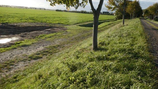 Geuzendijk Nieuwvliet RDS: 22.3347-377.4062, GPS: 51.37024961-3.48188646.