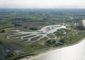 Waterdunen oost RDS: 25.0214-380.9767, GPS: 51.40295387-3.51914054. Aan: vallen zijn in verschillende habitats gezet. Vallen staan om de ca. 10 meter.