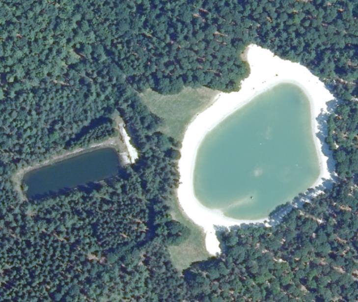 Afbeelding 4 Luchtfoto zwemlocatie Loomeer 3.2 Algemene beschrijving van het strand De zwemlocatie t Loomeer heeft een ruim zandstrand die geheel rondom de zwemplas ligt.