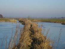 Onverhard wandelen door de kommen De kommen van de Oude Hollandse Waterline vormen een uniek stelsel van diepe overstroombare polders omzoomd door kades en dijken.