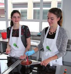 leerjaar LATIJN LATIJN OPTIE GRIEKS MODERNE WETENSCHAPPEN SOCIALE EN TECHNISCHE VORMING Tweede graad