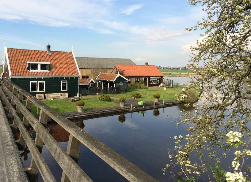 Daarachter een concentratie van huizen en boerderijen van de familie Zwikker met rechts molen De Tweelingen. Foto Collectie Gemeentearchief Zaanstad.