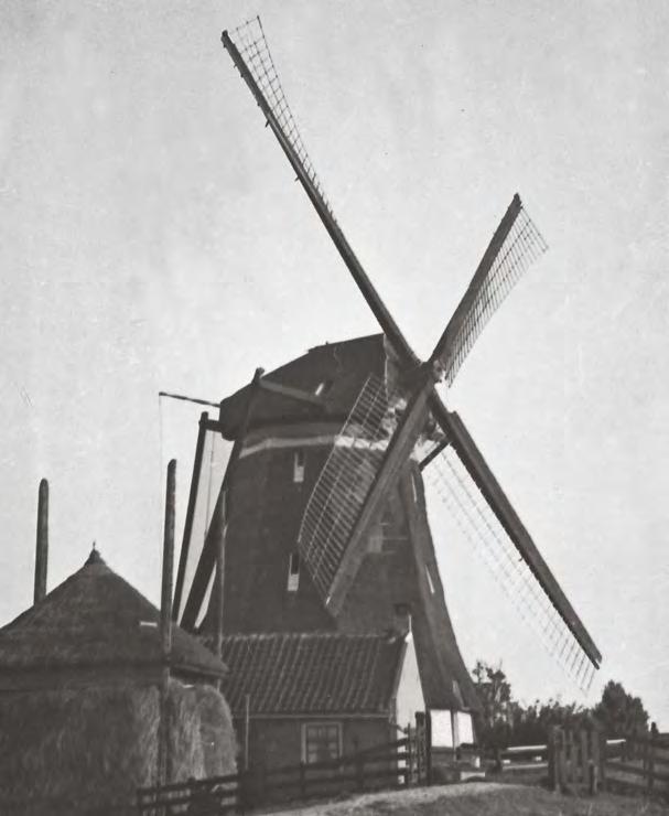 50 Roedenloods Voordat gemalen werden ingezet om het water in de polders op peil te houden, was de maalvaardigheid van molens van cruciaal belang.