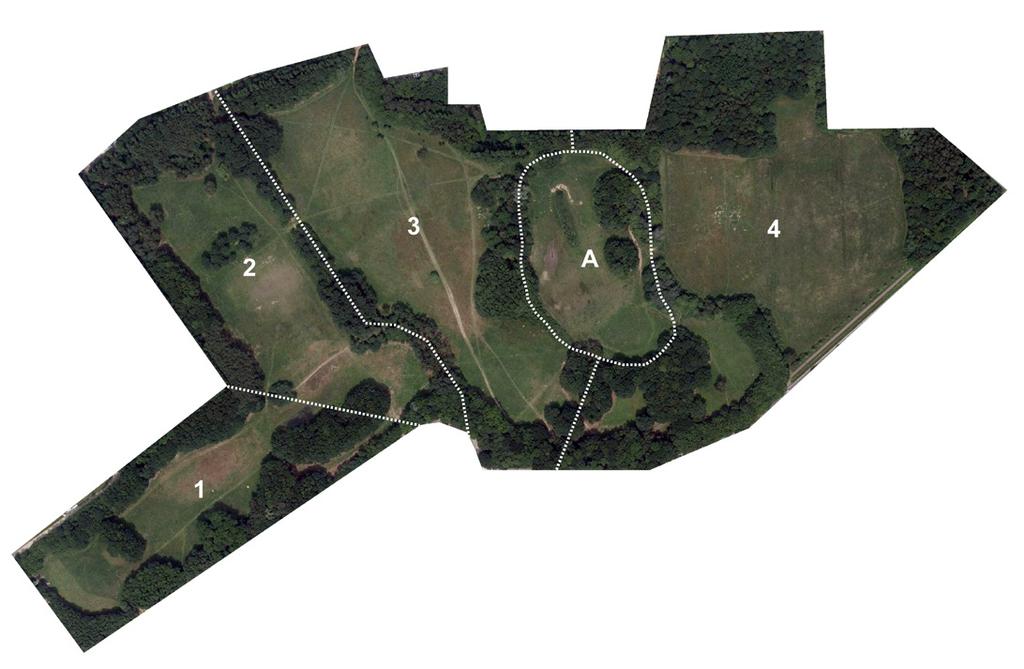 Gebruik heel park 4 A Slechts % van de bevraagde bezoekers blijkt het hele park te bezoeken. Meer dan een kwart van de bezoekers komt specifiek voor de hondenloopzone naar de Bremweide.