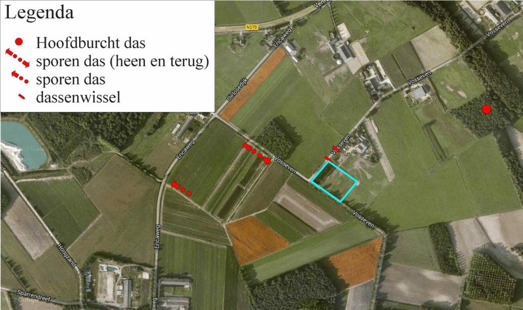 Tijdens het veldbezoek bevond zich een dassenwissel aan de noordzijde van het plangebied (net buiten het plangebied). Deze komt uit op de greppel ten noordwesten van het plangebied.