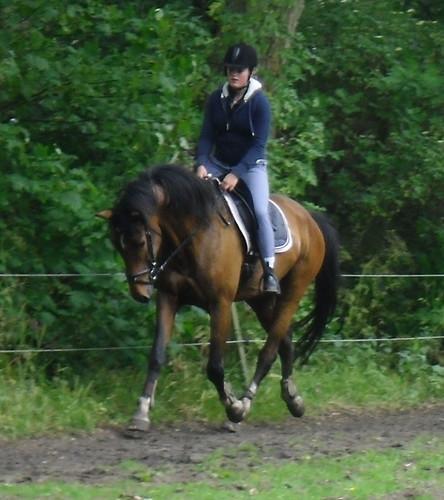 Hierna zijn we naar Koopman gegaan samen met het nieuwe paard van Gerard! Ik hoop jullie snel weer te zien op de club! Groetjes, Rossita Dekker & Symfonie Ik ben Rossita Dekker en ben 17 jaar oud.