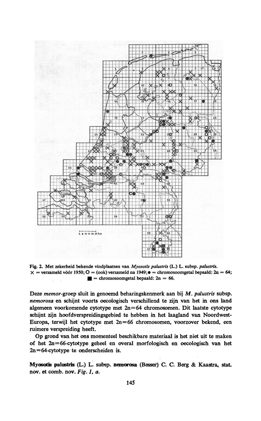 Fig. 2. Met zekerheid bekende vindplaatsen van Myosotis palustris (L.) L. subsp. palustris. X = verzameld vóór 1950;O = (ook) verzameld na 1949; = chromosoomgetalbepaald: 2n = 64; = chromosoomgetalbepaald: 2n = 66.