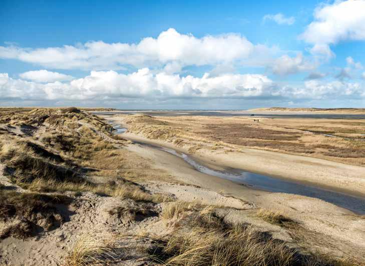 Wij zijn altijd op zoek naar (nieuwe) oplossingen en mogelijkheden voor drinkwater en natuur Testen In feite rest voor Dunea nu (we spreken Marcel begin oktober) alleen nog het testen van het