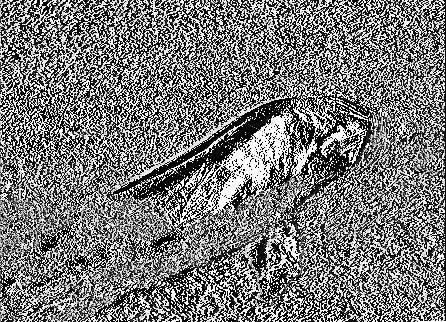 De camera gereedmaken Camerariem bevestigen Batterij laden De meegeleverde batterijlader (type met netsnoer of met rechtstreekse stekker) kan verschillen afhankelijk van de regio waar u de camera