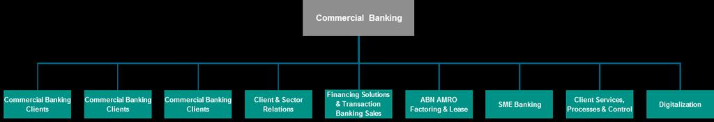 5. DE BUSINESS LINES VOOR DE EXECUTIVE COMMITTEE 5.1 De organisatiestructuur van de Business Line Retail Banking is als volgt: 5.
