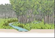 Onderhoudspad Korte, grasachtige vegetatie (geen botanische doelstelling) PM Beekoever (rechts) (niet in het beheer) Bos en struweel (80-100%) Specifieke onderhoudsobjecten In Bijlage x zijn de te