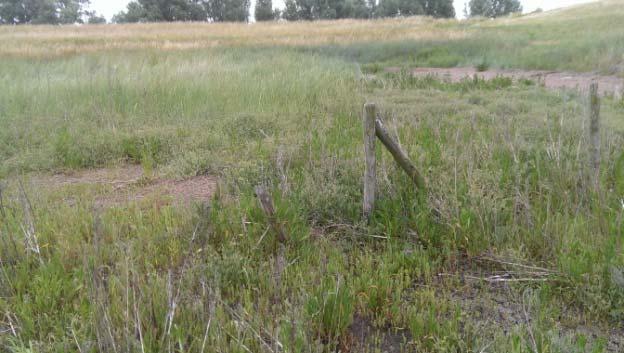 4BEffectbeoordeling De beoordeling of een ingreep wezenlijke invloed heeft op de gunstige staat van de soort is beoordeeld aan de hand van: Het aantal dieren of planten waarop effecten optreden.