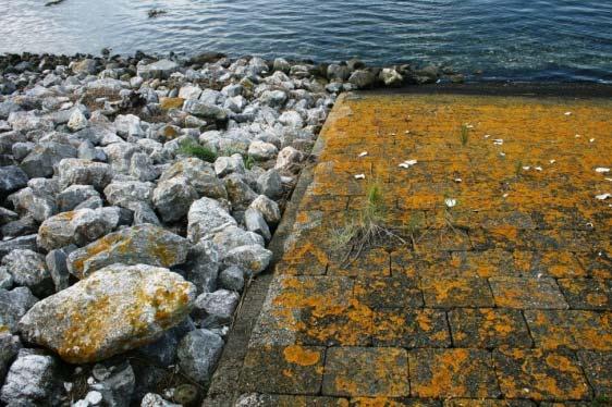 0BInleiding De dijk Uit de toetsing van de bestaande bekledingen is gebleken dat een deel moet worden afgekeurd.