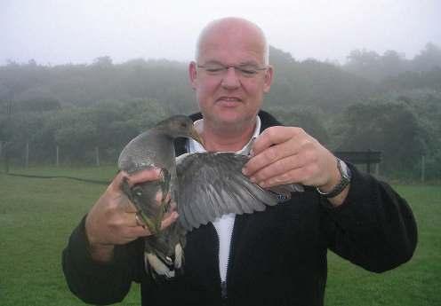 De vogel staat natuurlijk niet op een ringlijst, maar we hebben hem toch een ringetje omgedaan. Nu wachten op de terugmelding uit Sydney. Ongewenste vangsten.