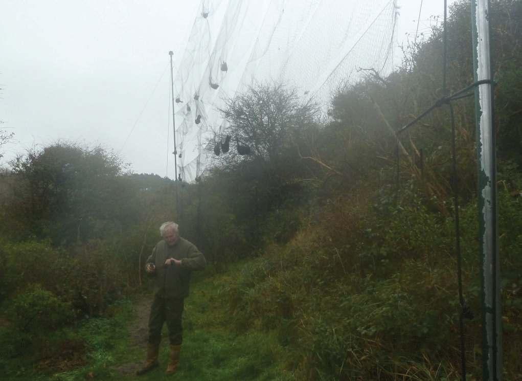 Massale vogeltrek Er zijn van die (trek)dagen die je voor altijd op het netvlies blijven.