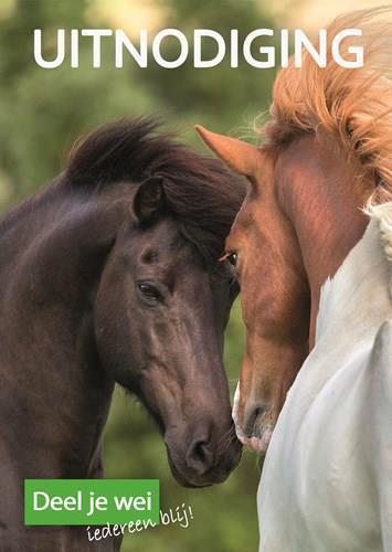 Paardenwelzijn Liefde voor het paard