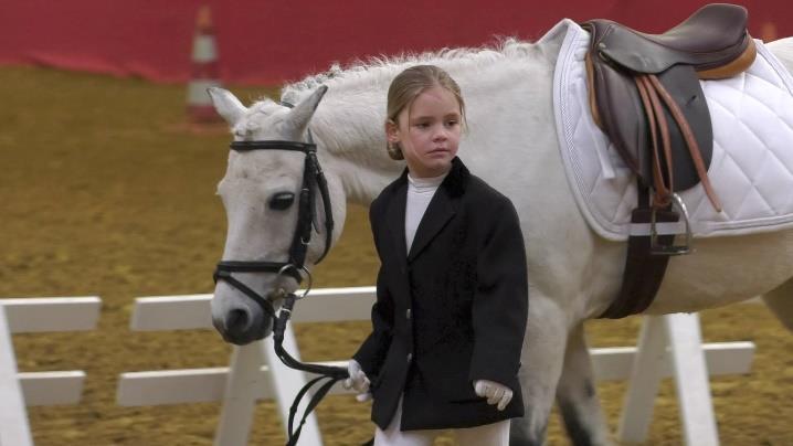 Wat is diploma rijden? Het diploma rijden zijn leuke en leerzame activiteiten, bedoeld voor (beginnende) ponyruiters.