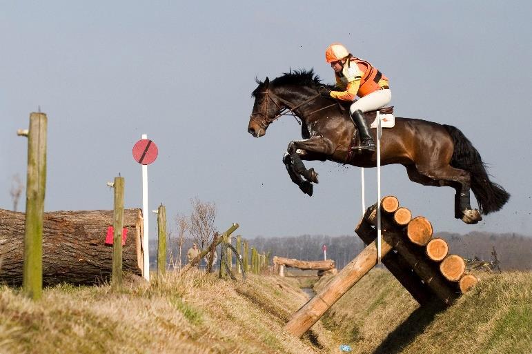 Fora update: Eventing Regiotrainingen Eventing hebben plaatsgevonden en waren een groot succes, ondanks dat de oefencross verplaatst was naar een week later i.v.m. de weersomstandigheden.