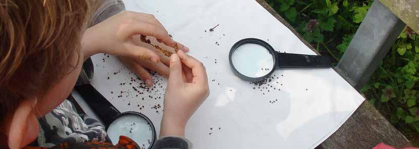 Naar buiten allemaal! Kinderen meer in contact brengen met de natuur in de eigen omgeving en zelf ontdekken is de doelstelling van Naar buiten allemaal!