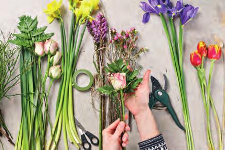 THEORIE 1.1 Levende materialen verzorgen Snijbloemen zijn levende producten. Voordat die in de winkel staan, moet er heel wat gebeuren. Hoe snij je ze af?