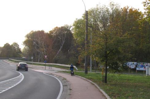 13) Snoeien Veerdreef Bij de snoeiwerken langs de Veerdreef (waarvoor dank!