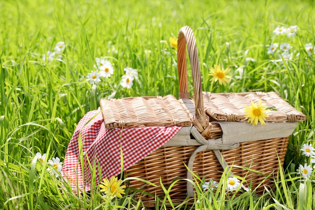 Picknick Standaard Picknick 15,50 p.p. Genieten in de natuur met een mand vol lekkers. Kies zelf een mooi plekje op het landgoed.