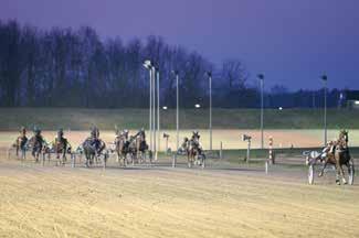 den Dubbelden Geel; vierkant op schouder blauw. Tot. 31910 (4900) starts: 55-3, *2019* tot. 700; 2-0; 17,7 30-11 W 1 16,3 a1 2600 8,90 DdD Bastien du Chef/Birdy de Neuilly/Etna Pole 1.