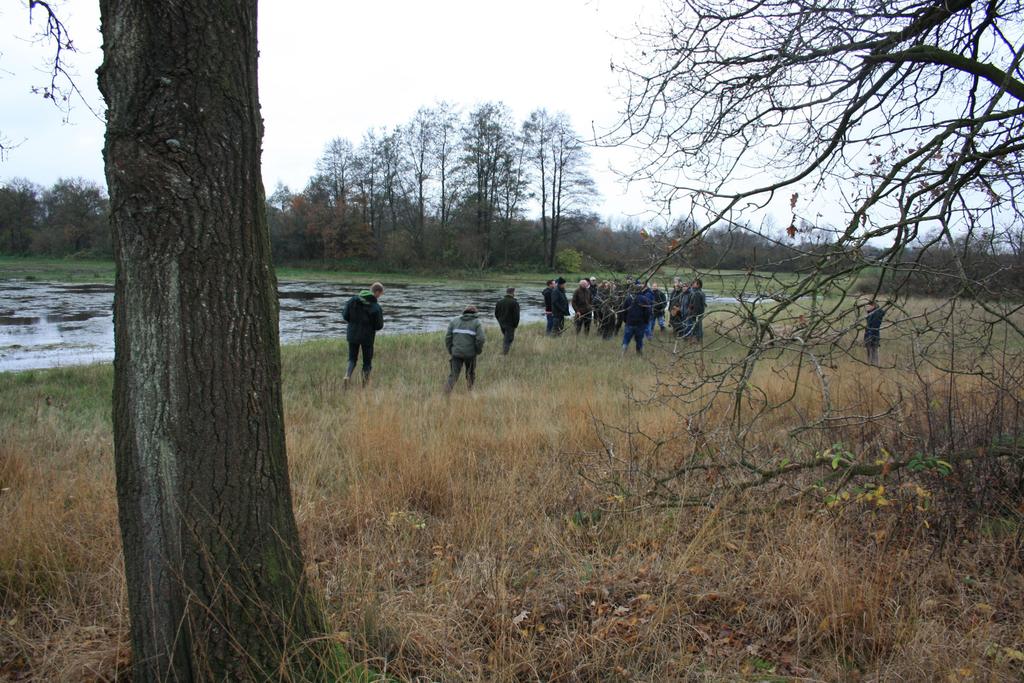 Natuurontwikkeling op voormalige landbouwgronden; herstel van blauwgraslanden Verslag veldwerkplaats --- Nat zandlandschap Wijnjeterper Schar, 9 november 2010 Inleiders: Jan Streefkerk