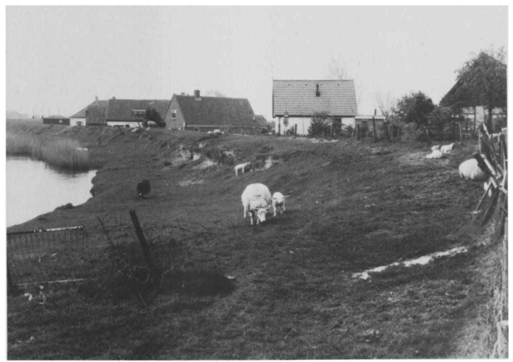 Op Wieringen is ondermeer nog een stukje, met gras begroeid, keileemklif te zien bij Vatrop. Het restant van het klif is hier beschermd door een in 1790 aangelegd dijkje.