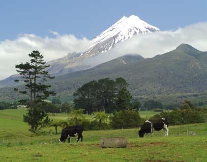 Bewonder de hoogste berg van Nieuw-Zeeland en de imposante Tasman Glacier, die midden in een afwisselend landschap van bergen en vlaktes ligt. Zie blz. 264. Tongariro National Park.
