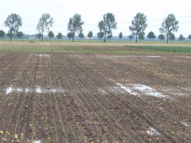 Wateroverlast Nat gevoeligheid van de bodem Bodemtype en grondwatertrap Afvoeren van neerslag Waterbergend vermogen,