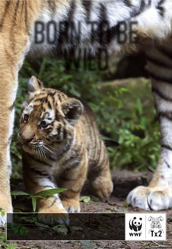 EENDRACHT MAAKT MACHT, TWEEDRACHT BREEKT KRACHT! Onze stichting is ontstaan vanwege de vraag naar dierenhulp die 24 uur per dag 7 dagen in de week beschikbaar is in de regio Brabant Noord-Oost.