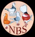 Reactie NBS samengevat. De NBS beperkt zich tot de belangen van de fokkerijbelangen en ziet geen taak richting de verenigingen of shows.