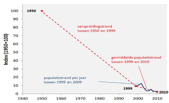 Bepaling van de populatietrend tn voor de Speerwaterjuffer Schakel 1: de trend tussen 1920-1960 ( 1950 ) en 1995-2004 ( 1999 ) Volgens de methode die beschreven is voor de verspreidingstrend (tv), is
