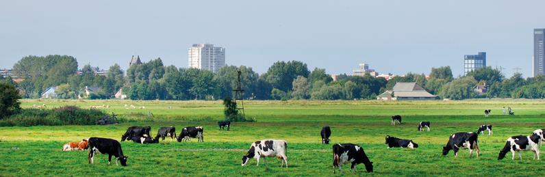 HOOFDSTUK 4Verordening Romte Wij passen de Verordening Romte, zoals laatstelijk op 25 juni 2014 vastgesteld, aan op basis van dit nieuwe beleid voor zonne-energie.