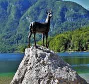 SLOVENIË KRANJSKA GORA Parel van de Julische Alpen in Slovenië Kranjska is gelegen in een prachtige vallei tussen de Karawanken en de Julische Alpen, vlak bij de grens met Oostenrijk en Italië in het