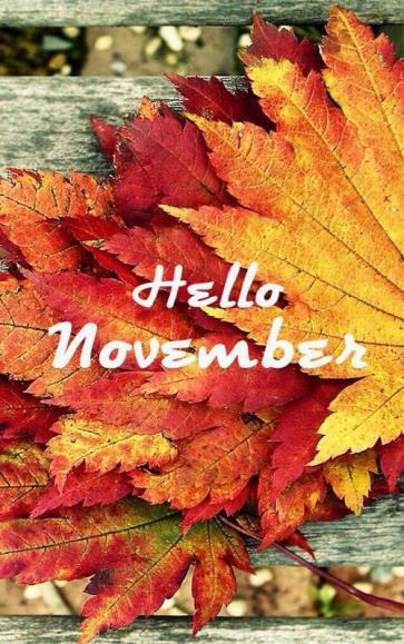 +6 Nieuwsbrief november Hallo lieve leden, Het is al november! Bizar dat het al weer bijna het einde van het jaar is.
