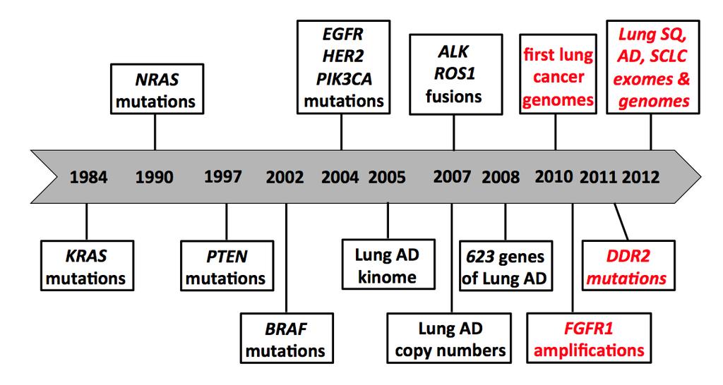 Timeline for the discovery of relevant alterations in lung cancer difficulty: before NGS picking the