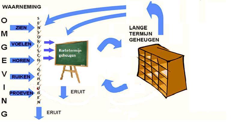 Wat kan mis gaan bij Parkinson?