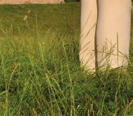 zich in een werkgroep willen buigen over de verandering en verbetering van een aantal speelplekken in