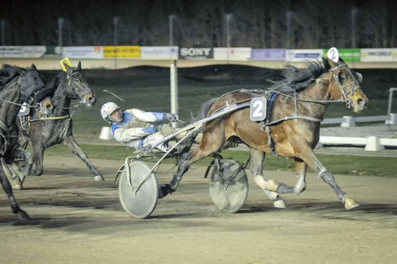 4 MICHEL ROTHENGATTER BEDANKT-PRIJS (V5-IV) 19.35 U. 2060 autostart groen 1 Freiya van Jip 16,8a John Dekker 6j.br.m. Ufo Kievitshof - Raisa Jet F:J. Beemsterboer E: J. Beemsterboer T: Mw. C.D. Aalbers Blauw, band en mw.