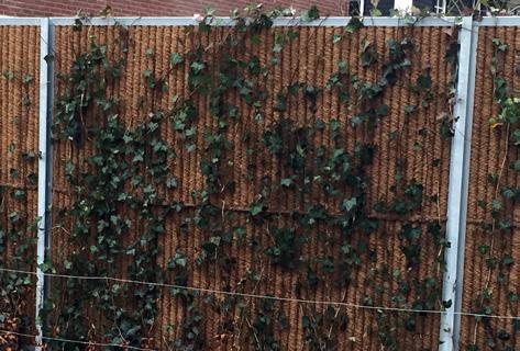 Er wordt groene beplanting aangebracht voor het bedrijfsgebouw dat aan het